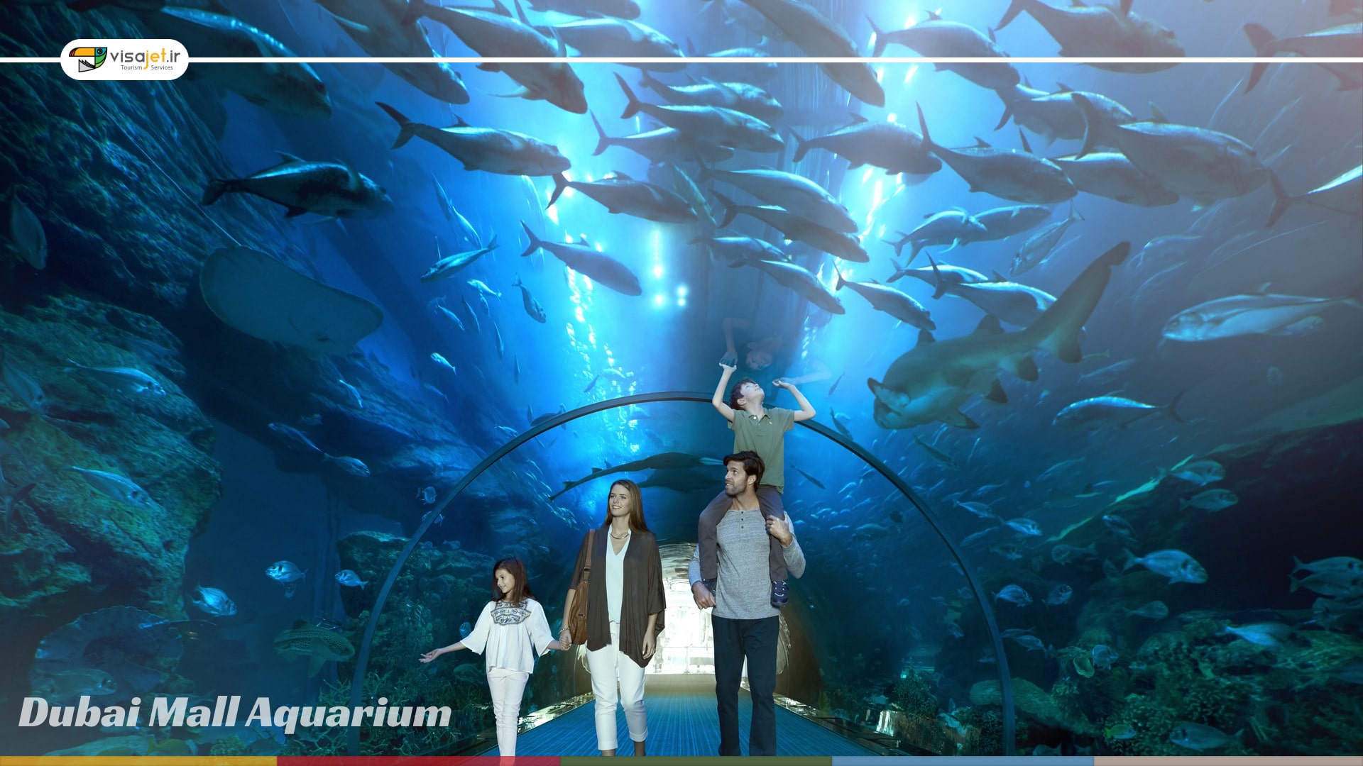 درباره دبی آکواریوم و باغ وحش زیر دریایی دبی